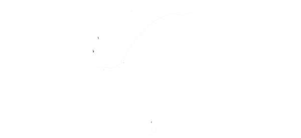Youssef Swatt's